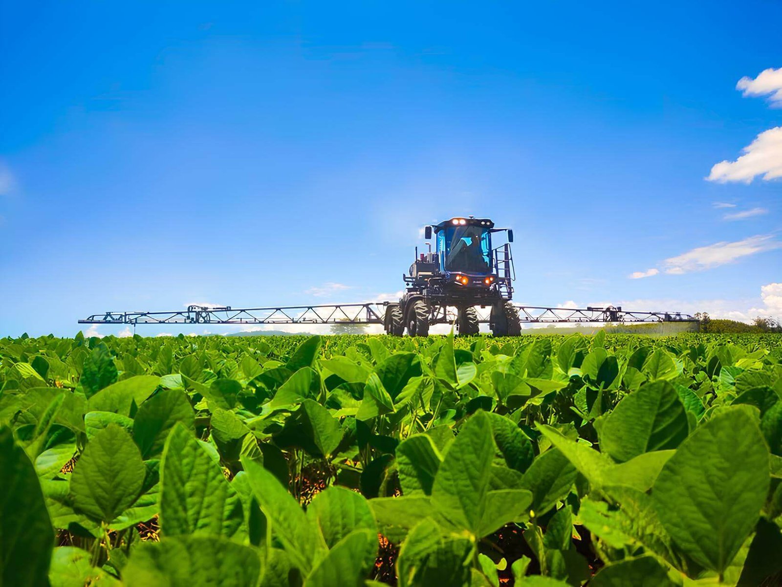 Do controle absoluto à economia inteligente