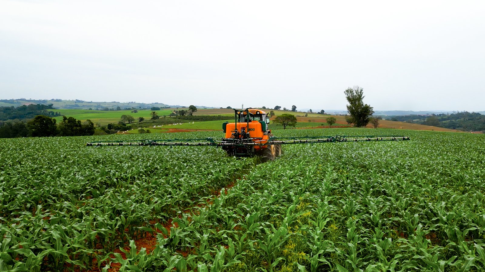 Sequência aninhada 27.00_00_10_11.Quadro001